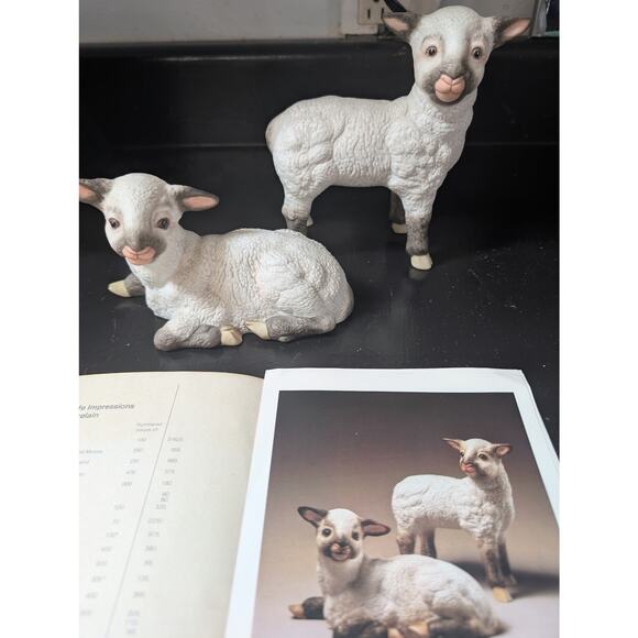 Kazmar Lambs Ram and Ewe set official certificate - Picture 4 of 10